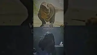 goliath vs buck