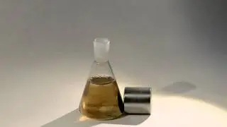 magnetic nanoparticles