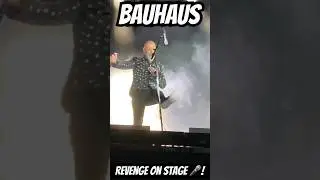 #frontrowpass #bauhaus #live #ziggystardust