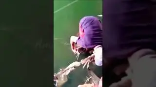 Mancing ikan sungai strike besar || #short #fishing #experiment