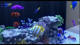 VIRTUAL FISHTANK / AQUARIUM - Relax Music