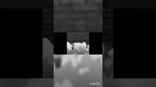 man vs granny #ghostninja #shortvideos #viralshort #viralshort  #ninja gamer👻🧑&zwj;💻