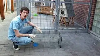 Comment utiliser une cage de piégeage pour capturer un chat errant ?