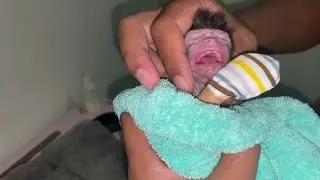 ADDICTED TO SUCKING FINGER, SMALL BABY MONKEY HAS GETTING BETTER