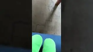 #goobr