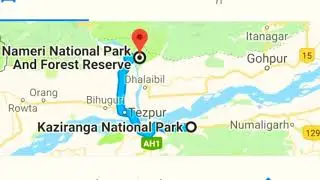Visit to Nameri national park, birding trip to Nameri forest, Nameri eco camp