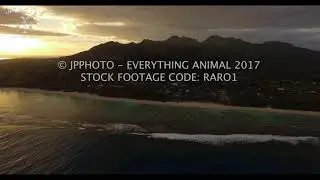 4K STOCK FOOTAGE - RARO1