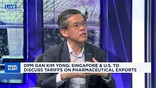 Singapore firms are looking at how to diversify their markets, says business group head