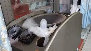 DIY Audio Is This Chinese 12 Subwoofer Premium Worth the Hype Build & Test