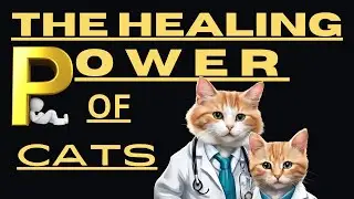 The Surprising Healing Powers Of Cats: Fact Or Fiction?