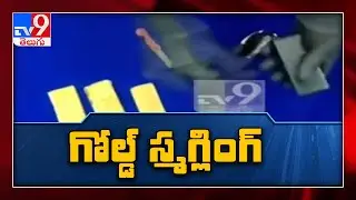 Gold Smuggling : One Minute Full News - TV9
