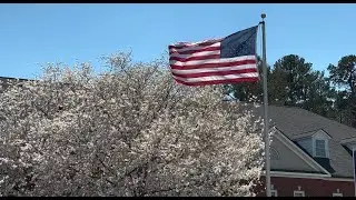 US withdrawal from the Paris Agreement: The impact and responses