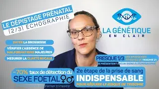 Le dépistage prénatal : l'étape de l'échographie de clarté nucale au premier trimestre de grossesse
