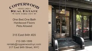 315 East 84 Apt 20