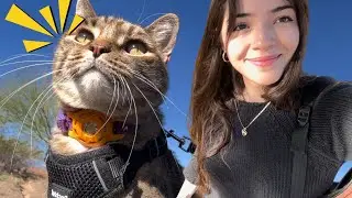 I took my cat to the park…