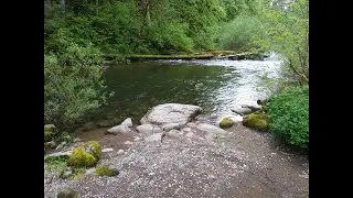 Review; Dispersed Camping at the Molalla River in Oregon from ioverlander.com