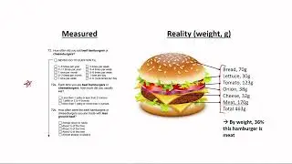 Module 1- Food Frequency Questionnaires: The Engine of Nutritional Epidemiology