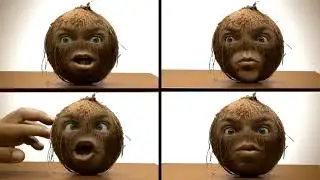 coconut face beatbox song