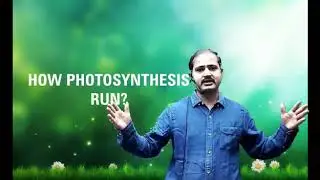 Photosynthesis by Amit Dixit, Digital Guru-Schooling Anywhere.