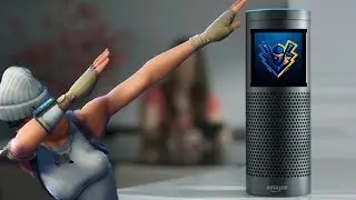 Introducing Amazon Ninja (Echo Parody)