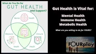 What do YOU Do for Gut Health- Support? Supplements | Environment | Mental, Immune, Metabolic Health