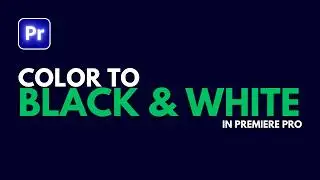 How to Convert Video into Black & White in Premiere Pro || COLOR To BLACK And WHITE