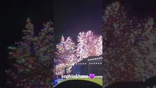 #colorfultrees #colorfullights