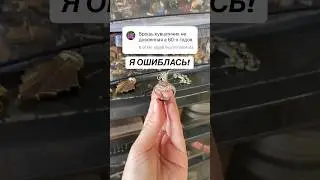 И такое бывает 🤷🏼&zwj;♀️