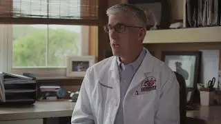 FortiFlora | What Do Veterinarians Think About It?
