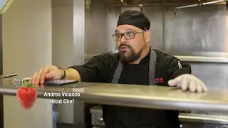 What is it like to be a Rockstar Chef in a College Chefs' sorority house?