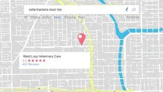 Dr. Google - How to search for pet care and information.