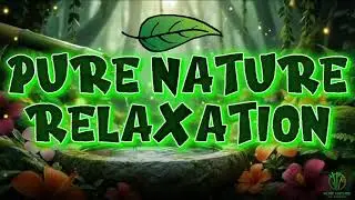 Relaxing Music to Relieve Pressure, Anxiety and Depression 🌿 Heals the Mind, Body and Spirit