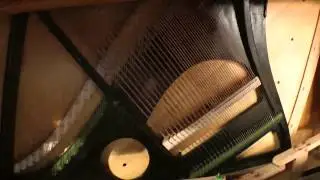 Restauriertes Bechstein Klavier 1900, Schellack schwarz
