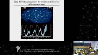 Christoph Weber: Active droplets in cell biology and their role in the molecular origin of life - 1