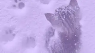 شاورما الحلوين