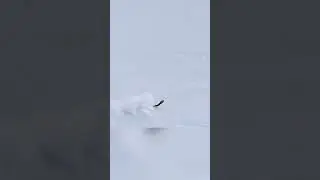 Thats gotta hurt🤕 #snow #skiing #snowboarding #winter #winterseason #trending #snowseason #trending