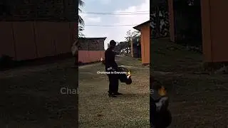 Challenge to Everyone 🔥 #indwingchunkungfu #shorts #martialarts #selfdefense