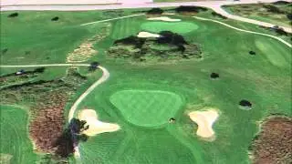 Deerwood Golf Course - Fawn #2
