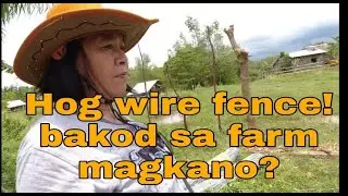 hog wire fence! bakod sa aming farm/magkno ba ang isang rolyo?