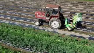 trapiantatrice hortech & fiat 880