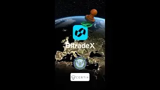 BitradeX - An&aacute;lise CertiK e FinCEN - Tudo o que voc&ecirc; precisa SABER