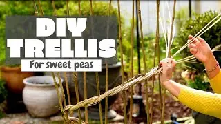 🌾Weaving a Garden Trellis for growing Vines // DIY Gardening