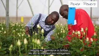 Penta Flowers: Environmental Activities