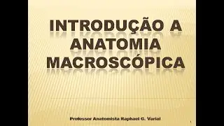 Introdução à Anatomia macroscópica