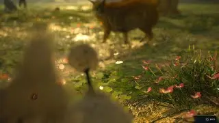 Hogwarts Legacy Kneazle Offspring is so Cute!