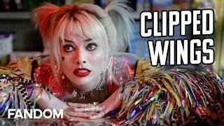 Birds of Prey: What Happened? | Charting with Dan!