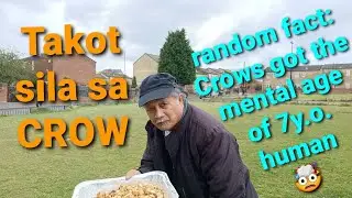 Bird watching @ the backyard/ takot ang pigeons sa crow at ang seagulls