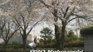 m80