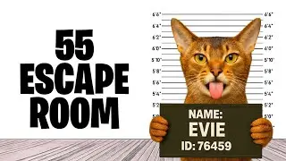 55 Escape Rooms All Levels Fortnite Tutorial😎😱