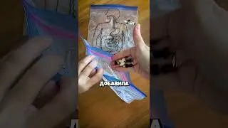 Вот как работает наш живот 😮